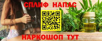 a pvp Кингисепп