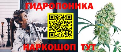 ECSTASY Кимры