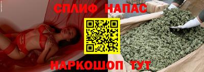 a pvp Кингисепп