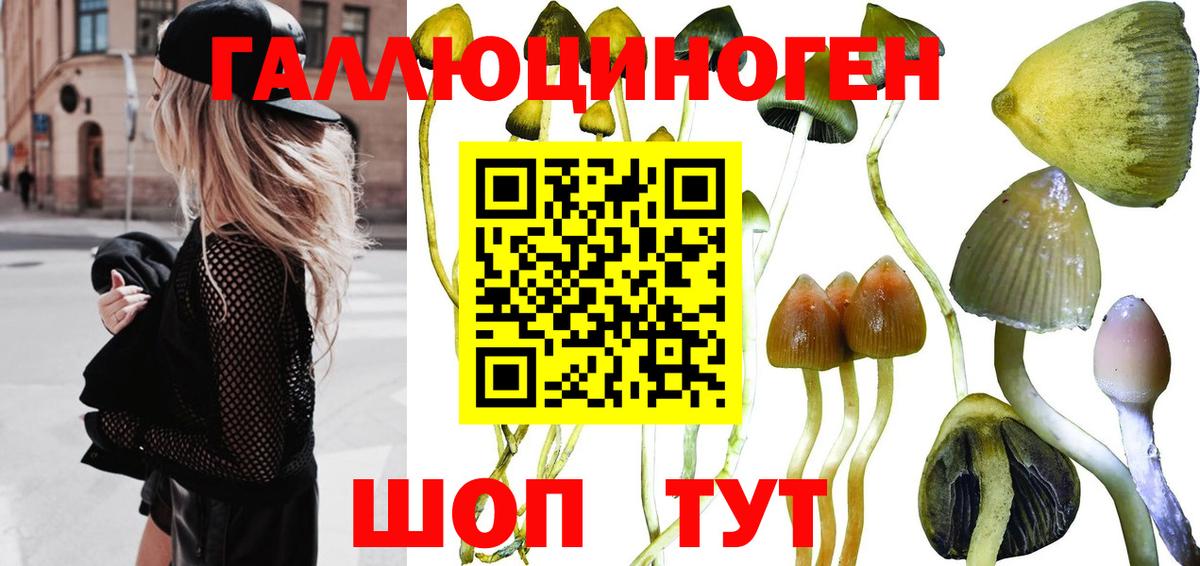 Псилоцибиновые грибы ЛСД  Вход с VPN  Кудрово 